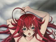 High School DxD Rias Gremory Kussen Anime Manga Bodypillow